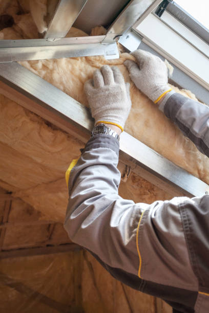 Best Insulation Contractor Near Me  in USA